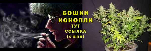 гашик Бронницы