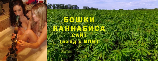 гашик Бронницы