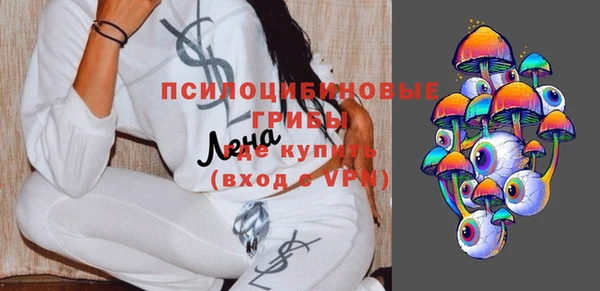гашик Бронницы