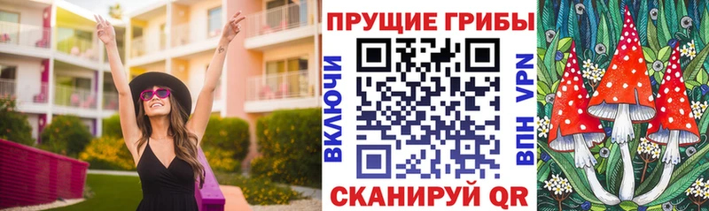 Псилоцибиновые грибы прущие грибы  Мезень 